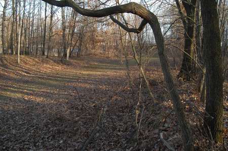 Albion Motor Speedway - Maybe Old Track